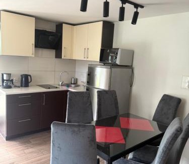 Miedzybrodzie Zywieckie Apartment | Apartament przy plaży