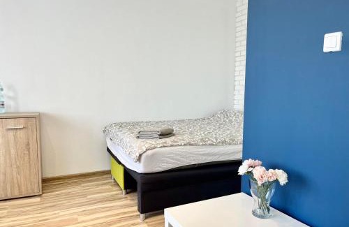 Lublin Apartment | Apartament Śliwińskiego 4