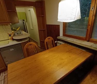 Laskowa Apartment | Apartament Żmiąca