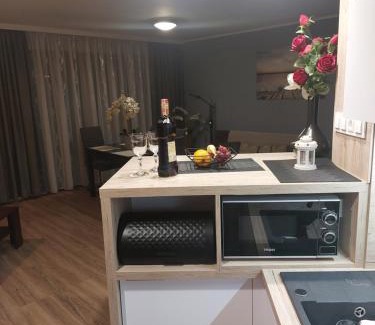 Cetniewo Apartment | Apartament 50m od plaży