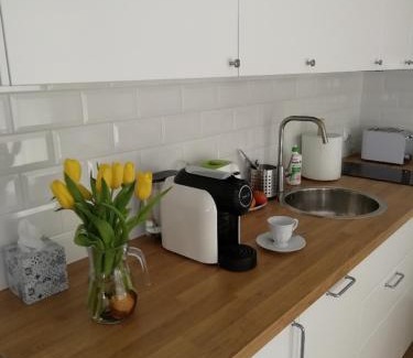 Stegna Apartment | Apartament Ami Stegna