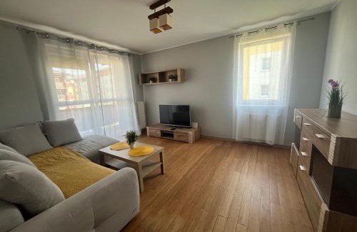 Pruszcz Gdanski Apartment | Apartament Borkowo
