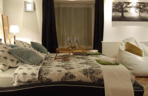 Stare Miasto Apartment | Apartament "Bulwar" - old town