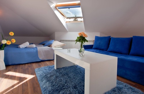 Krynica-Zdroj Apartment | Apartament City Center Studio DeLuxe