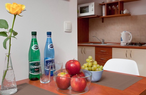 Krynica-Zdroj Apartment | Apartament City Center Studio DeLuxe