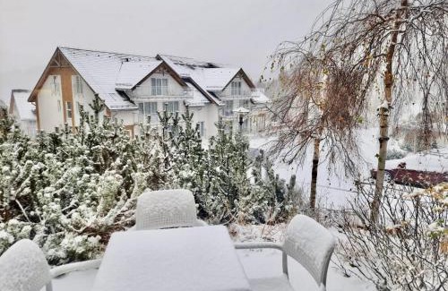 Sienna Apartment | Apartament Czarna Góra Resort - Livigno