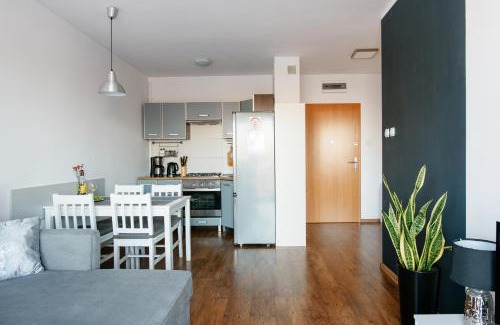 Gorzow Wielkopolski Apartment | Apartament Europejski