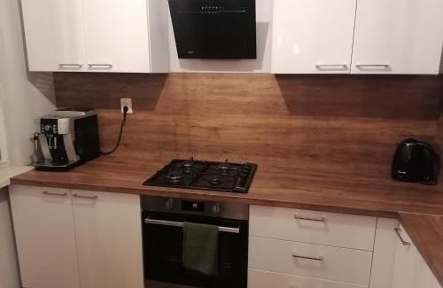 Zabrze Apartment | Apartament Gagarina 31