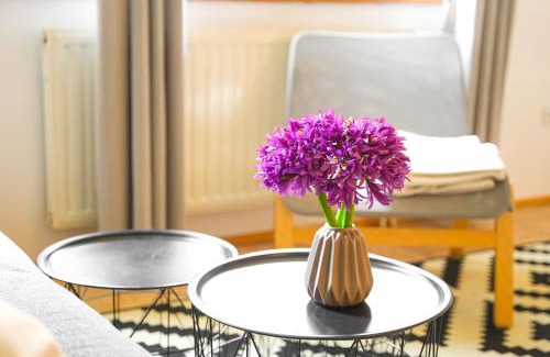 Zakopane Apartment | Apartament Halny APARTZAKOP