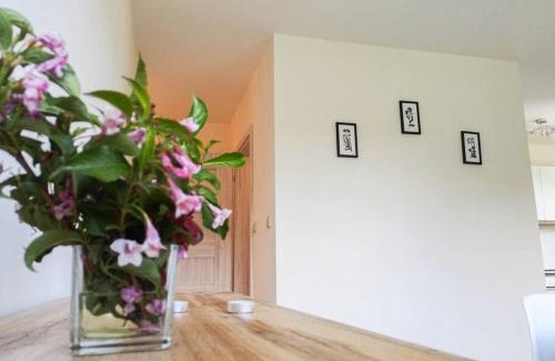 Bochnia Apartment | Apartament Hubertus