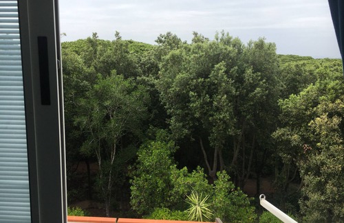 Punta Ala Apartment | Apartament in apartament house near the sea surrounding by secular pinegroves