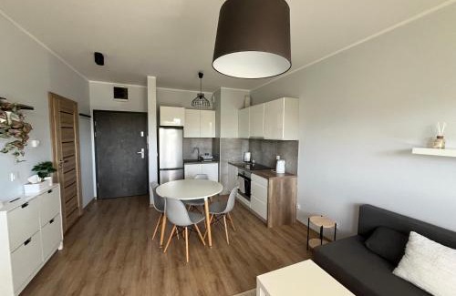 Bydgoszcz Apartment | Apartament Leśna