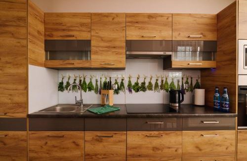Kedzierzyn Kozle Apartment | Apartament Lukas