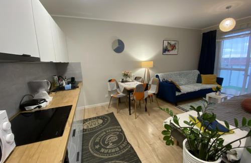 Elblag Apartment | Apartament MIELCZARSKIEGO Elbląg