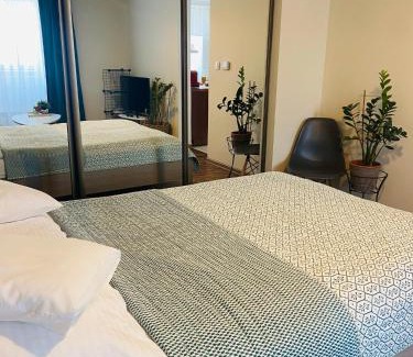 Pszczyna Apartment | Apartament na Starówce VI