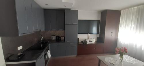 Dziaki Lesne Apartment | Apartament na Warszawskiej