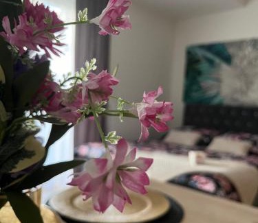 Kielce Apartment | Apartament Nova Klonova