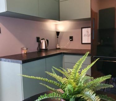 Nowy Port Apartment | Apartament Nowy Port 7