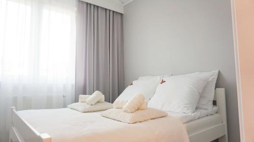 Gorzow Wielkopolski Apartment | Apartament Olimp