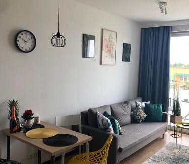 Nowy Dwor Mazowiecki Apartment | Apartament Pileckiego Nowy Dwór Mazowiecki Airport Modlin 24 H