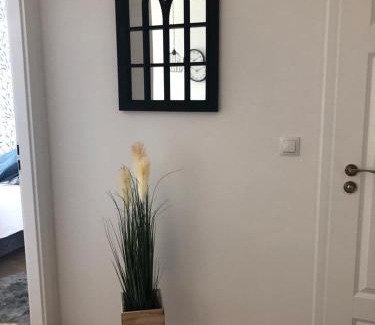 Nowy Dwor Mazowiecki Apartment | Apartament Pileckiego Nowy Dwór Mazowiecki Airport Modlin 24 H