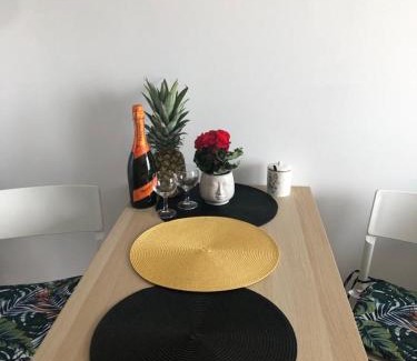 Nowy Dwor Mazowiecki Apartment | Apartament Pileckiego Nowy Dwór Mazowiecki Airport Modlin 24 H