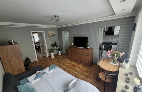 Sandomierz Apartment | Apartament Park Saski