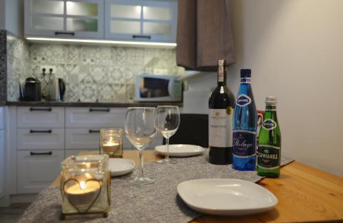Naleczow Apartment | Apartament Parkowy
