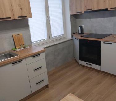 Ostrzyce Apartment | Apartament