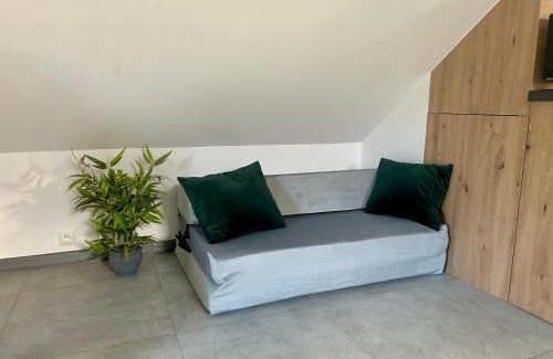 Checiny Apartment | Apartament POD STRZECHĄ