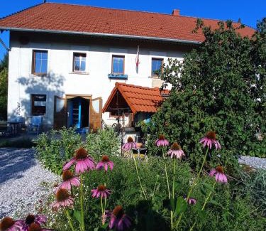 Sedziszowa Apartment | Apartament przy lesie z osobnym wejściem