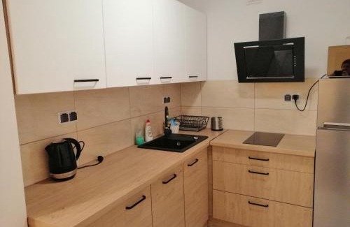 Łowicz Apartment | Apartament Reymonta