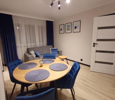 Torun Apartment | Apartament Reymonta
