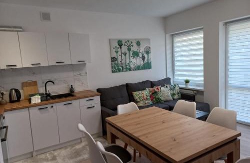 Skierniewice Apartment | Apartament River Skierniewice