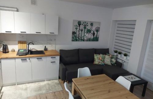 Skierniewice Apartment | Apartament River Skierniewice