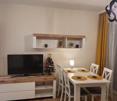 Elblag Apartment | APARTAMENT-SADOWA