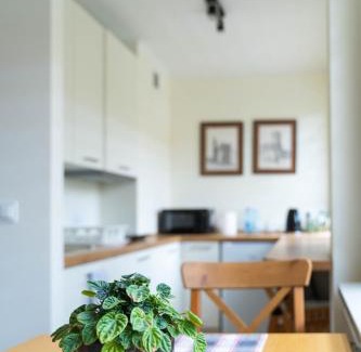 Sandomierz Apartment | Apartament Sandomierski