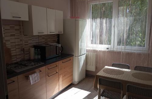 Jaworzno Apartment | Apartament Skałka