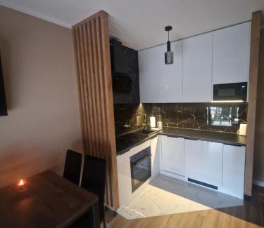 Wisla Apartment | Apartament Spokojny Czas