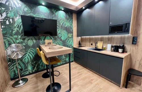 Kielce Apartment | Apartament SPOT Klonowa