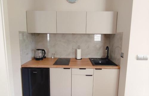 Zator Apartment | Apartament Sumik