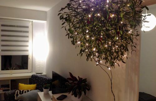 Plock Apartment | Apartament UŚMIECH