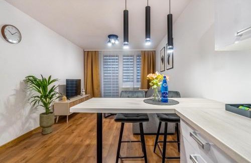 Kedzierzyn Kozle Apartment | Apartament w centrum II, PW INVEST HOME