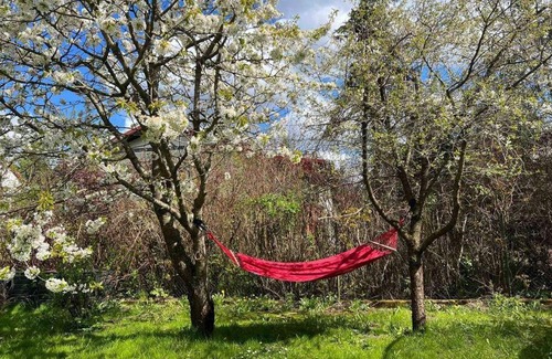 Goldap Apartment | Apartament w ,chlewiku”