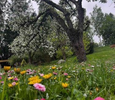 Goldap Apartment | Apartament w ,chlewiku”