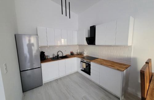 Psie Pole Apartment | Apartament w Starym Mlynie Loft Różanka