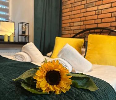 Kowary Apartment | Apartament W Starym Obiektywie