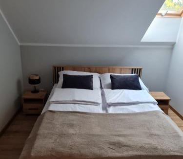 Zywiec Apartment | Apartament zamkowa 1