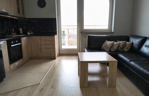 Subcarpathian Province Apartment | Apartament ZARA