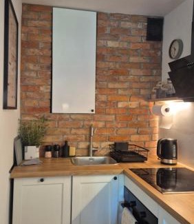 Kamienny Potok Apartment | Apartament420